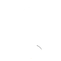 mickey